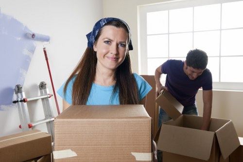 Removalists packing and transporting boxes and furniture
