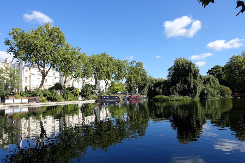 A daytime scene along a calm canal in Little Venice, Maida Vale, showing white terraced houses with small balconies on the left side, partially obscured by lush green trees lining the water's edge. On